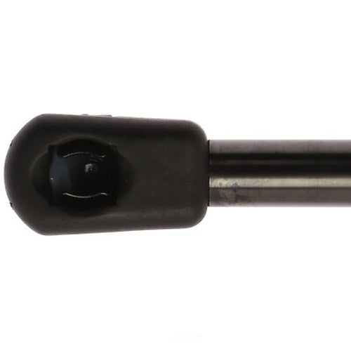 LIFTGATE LIFT SUPPORT