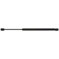 BACK GLASS LIFT SUPPORT