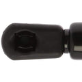 BACK GLASS LIFT SUPPORT