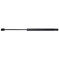 BACK GLASS LIFT SUPPORT
