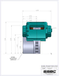 Q/C V8A193-1 W/BK CAL