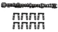 XE 230/236 Hyd Roller Cam Ford 352-428