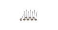 Acura C/P 28mm Exhaust Valves