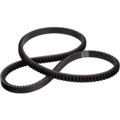 FAN BELTS