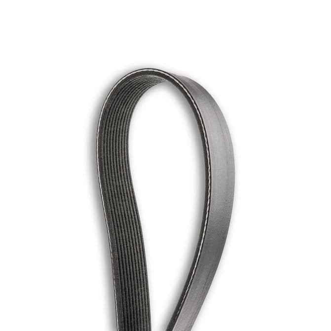 PLY COG GLD LABEL BELTS