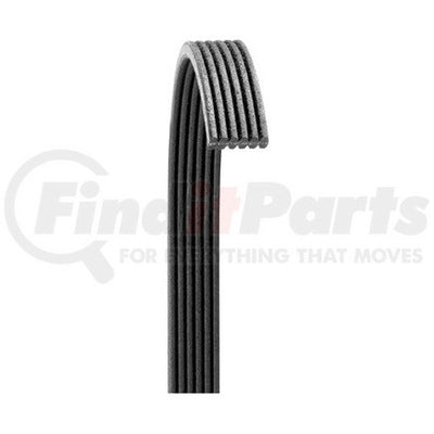 V-RIBBED BELT