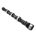 Hydraulic Camshaft - Buick 215-340