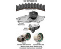 TIMING BELT WATR PMP KITS