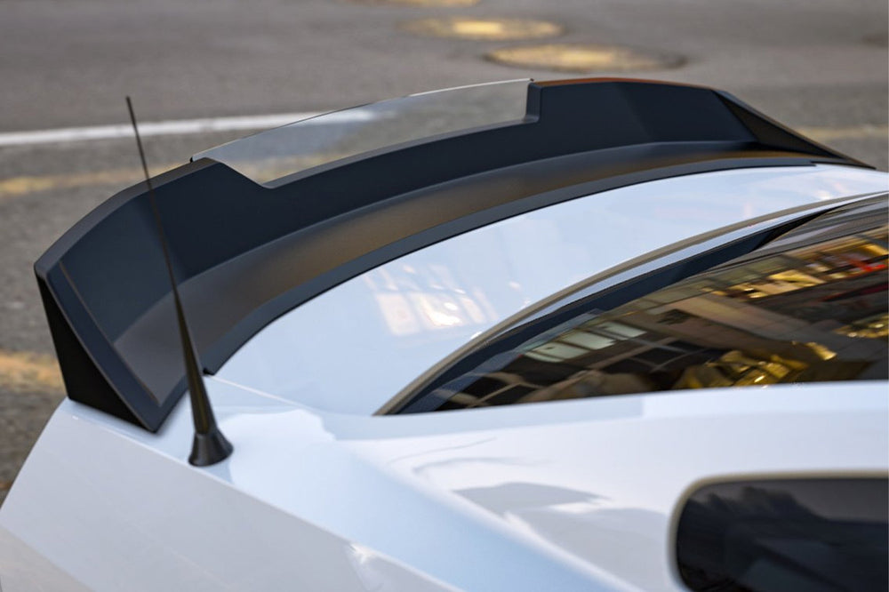 2010-14 MUSTANG WICKER BILL SPOILER
