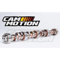 LS Hyd Roller Cam 3-Bolt .595 /.587 118 Degrees