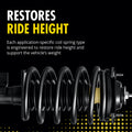 QUICK-STRUT ASSEMBLY
