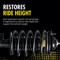 QUICK-STRUT ASSEMBLY