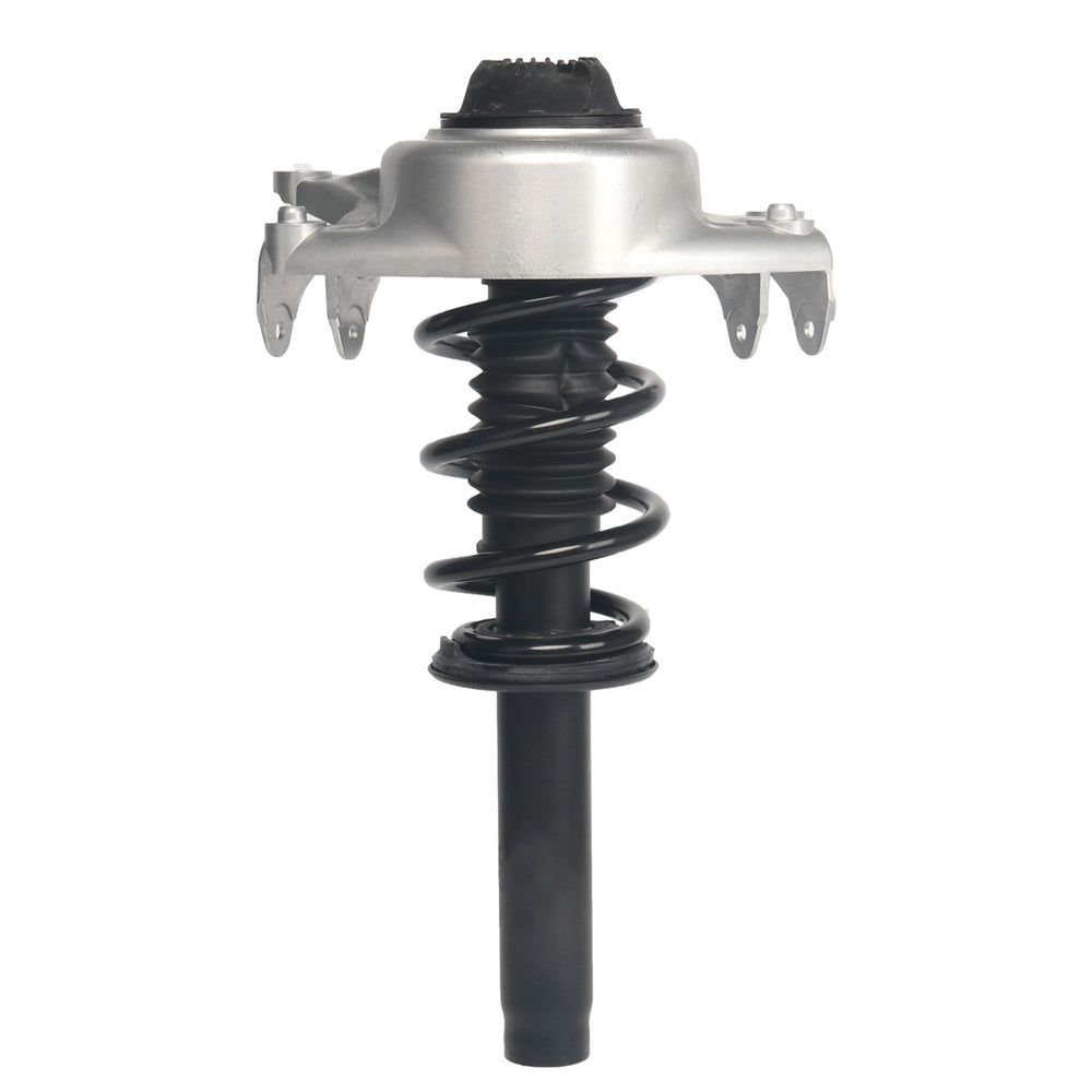 QUICK-STRUT ASSEMBLY