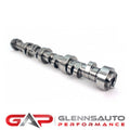 Hyd. Roller Camshaft LS DOD Delete