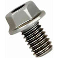 Akrapovic Replacement Bolt