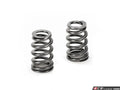 Supertech BMW N54 Conical Valve Spring - Set of 24