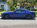 Lowering Springs Mustang