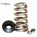 ~(3 lbs. 12X6X3)~ Cummins 89-98 Heavy Duty Springs 89-98 Dodge 12v Conical springs. retainers and locks..