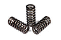 ~(5 lbs. 8X4X3)~ 6.0/6.4 Powerstroke Heavy Duty Valvespring Set