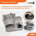 THROTTLE BODY