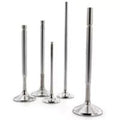 Ferrea 08-12 Honda Accord LX K24Z2 I-VTEC 29mm Head 5.48mm Stem Dia Comp Plus Intake Valve- Set of 8