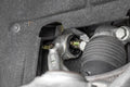 BMR 14-19 Chevrolet Corvette C7 Rear Upper Control Arm Bearing Kit - Black Anodized
