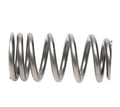 1.270 Valve Springs - Ovate Beehive (16)