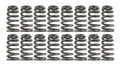 1.270 Valve Springs - Ovate Beehive (16)