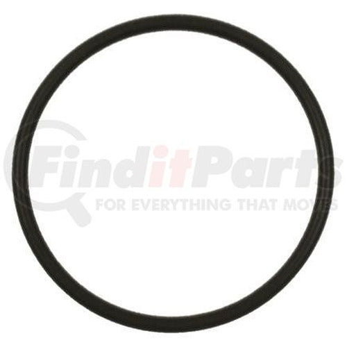 STANDARD FUEL PUMP O-RING