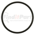 STANDARD FUEL PUMP O-RING