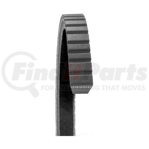 FAN BELTS