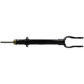 OESPECTRUM PREMIUM STRUT