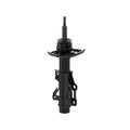 OESPECTRUM PREMIUM STRUT