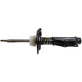 OESPECTRUM PREMIUM STRUT
