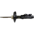 OESPECTRUM PREMIUM STRUT