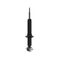 OESPECTRUM STRUT