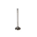 Mahle Engine Intake Valve 211-4264