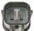 TEMPERATURE SWITCH