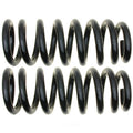 DODGE DAKOTA 0910 COIL SPRING SET