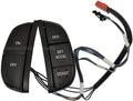 CRUISE CONTROL SW