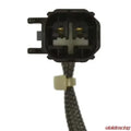 STANDARD EXHAUST GAS TEMPERATURE SE
