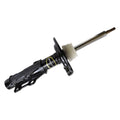 OESPECTRUM PREMIUM STRUT