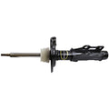 OESPECTRUM PREMIUM STRUT