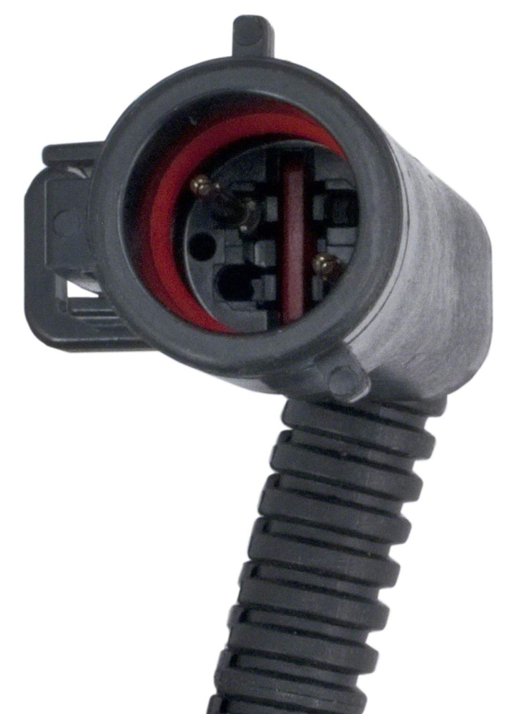 FUEL PUMP WIRING HARNESS