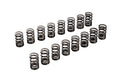 VALVE SPRING SET KA24DE