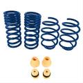 LOWERING SPRINGS TRACK MG