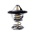 Racing Thermostat