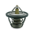 Low Temperature Thermostat