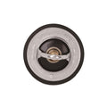 Low Temperature Thermostat