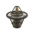 Low Temperature Thermostat